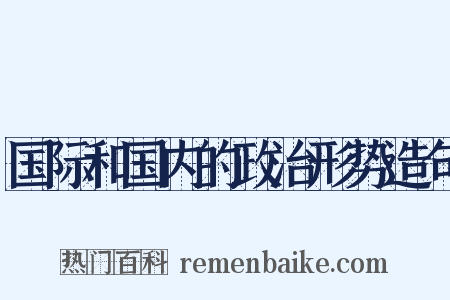 国际和国内的政治形势造句是什么意思的图片